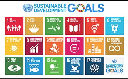 420px Sustainable Development Goals